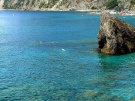 Cinque Terre (Monterosso al Mare)